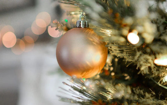 Have real Christmas trees delivered to your home in Brighton