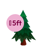 Illustration of a 5ft Christmas tree