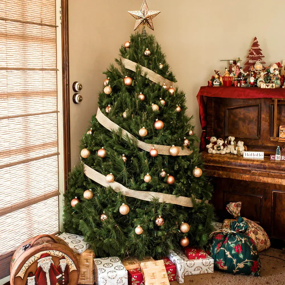 Real Christmas Tree Brisbane