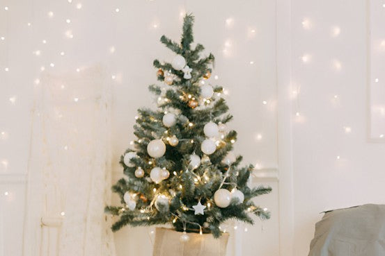 The Best Christmas Tree Types for Small Living Spaces