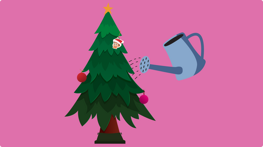 How to keep a real Christmas tree alive