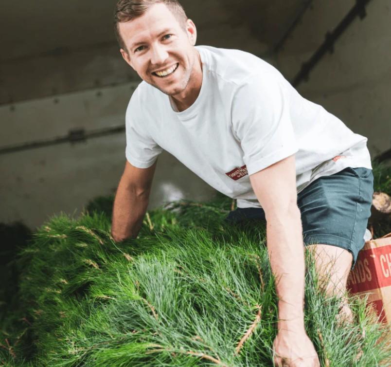 5 Expert Hacks for Picking a Full, Fragrant Pine Tree