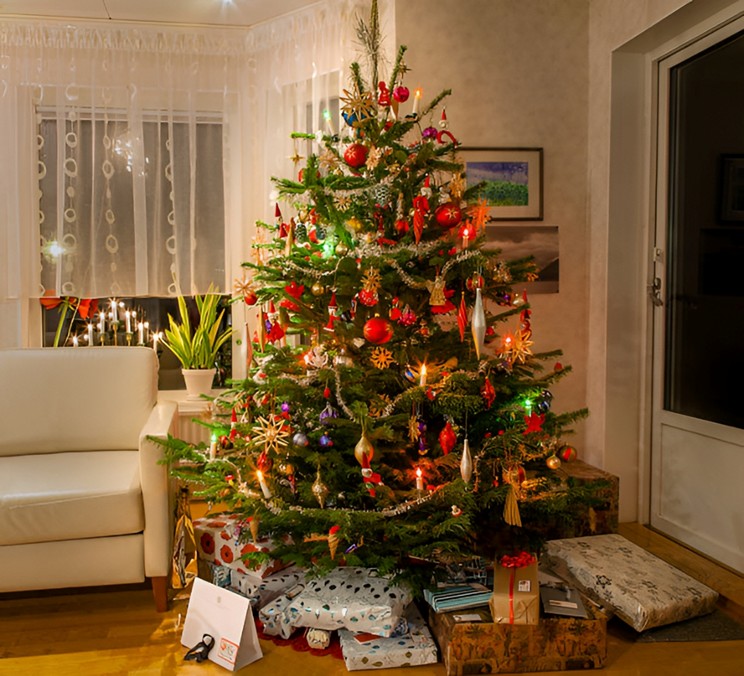 Real vs Artificial Christmas Trees: What’s Best for You?