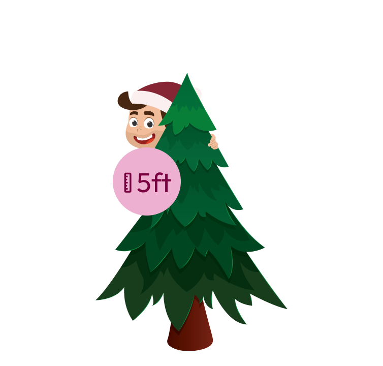 Real Christmas Trees Online Australia | The Tree Elves