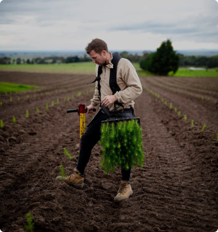 Image of co-founder Jeremy planting pine tree seedlings on the farm