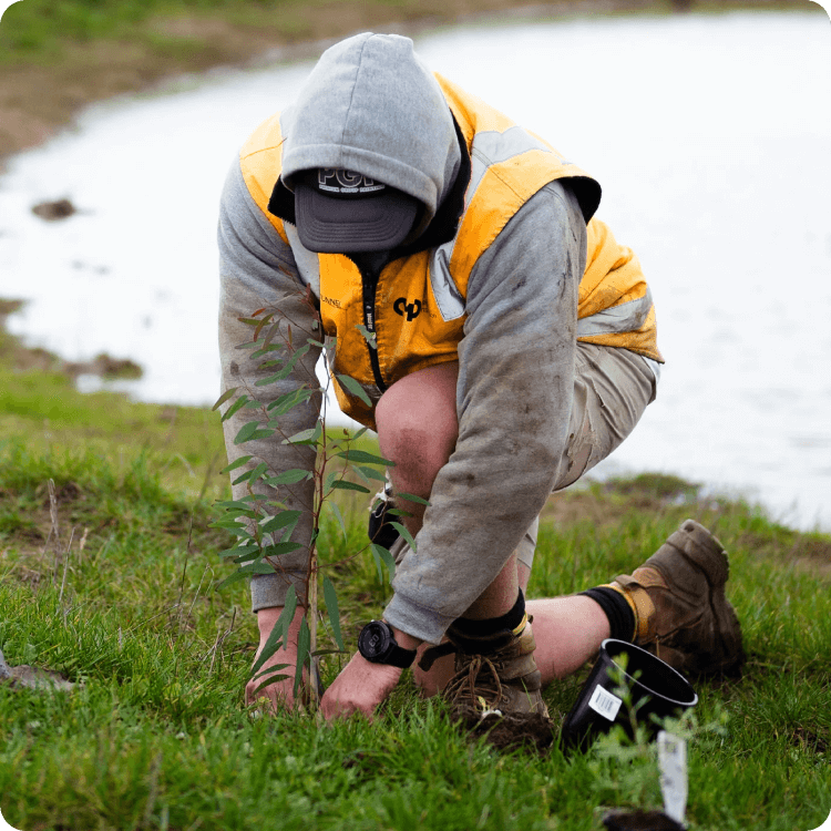 Image of a man planting a tree on the Yeowarra farm.