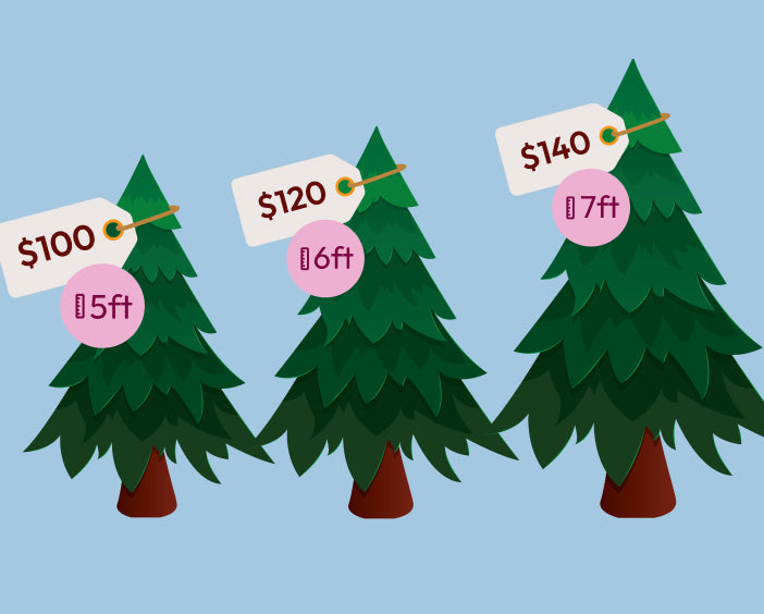 Image of three Christmas tree sizes with Melbourne retail prices, sitting on a blue background.