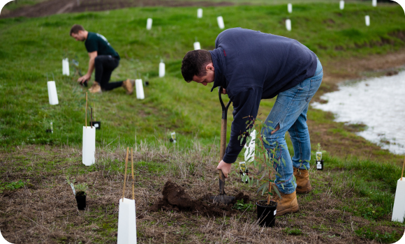 The Tree Elves co-founders planting native trees on the farm