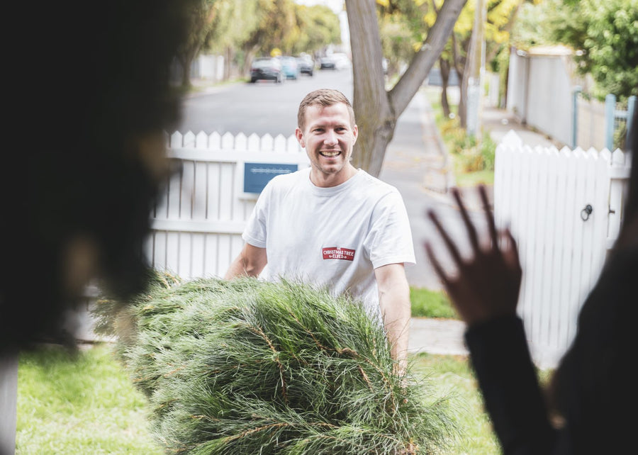 A Tree Elves delivery elf carrying a real Christmas tree to a customer's door