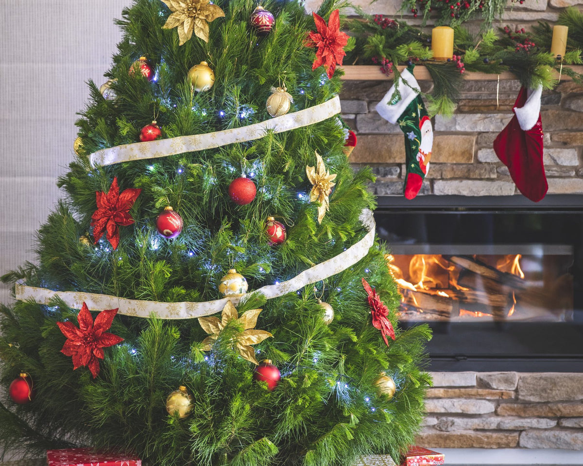 A real Christmas tree decorated with baubles and poinsettias beside a lit fireplace